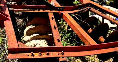 BENS MED. com 2 lances