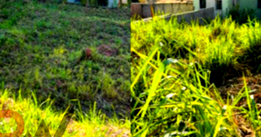 Lote Urbano com 275,54m² em Cláudio/MG