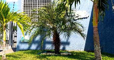 Apartamento 2 quartos com 43,58m² e 1 vaga de garagem