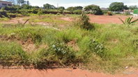 Terreno industrial de 1.345m² em Nova Esperança/PR
