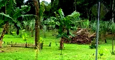 Terreno Trapézio em São Francisco do Sul com 24.455,50 m²