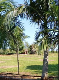 Terreno 1.000m² em Bandeirante/SC - Matrícula 35.649