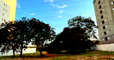 Terreno plano murado 2.000m² com infraestrutura básica