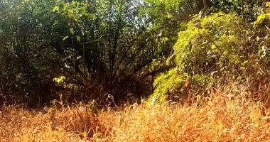 Lote 41 em Condomínio com 1007m² em Jaboticatubas/MG