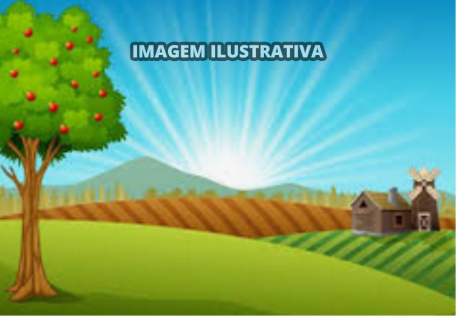 Terreno com 2 casas em Itapeva