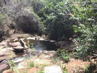 Terreno Rural com 183,91ha em Botumirim/MG