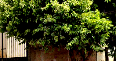 VW Saveiro CL 1993/1994 Verde - Oportunidade Única!