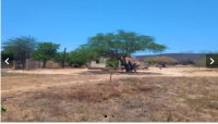 Granja com 3ha, Sítio Alagoinha, 2 casas de alvenaria, reservatório de água, área cercada