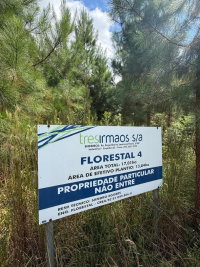 Parte da Fazenda São Nicolau Florestal 04 Pimpão