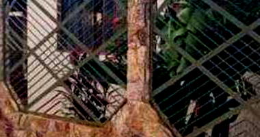 Casa Ocupada com 3 Quartos e 1 Vaga em Morrinhos/GO