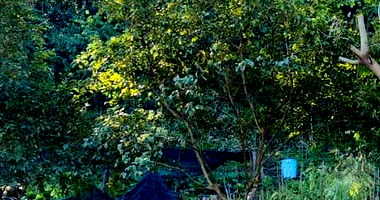 Lote Urbano nº 46 em Mondaí - 448m²