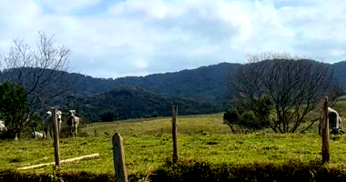 Terreno amplo com 8 lotes totalizando 2400m² no Weiss