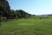 Fazenda com Casa 4 Quartos em Marília/SP