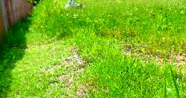 Terreno de 600 m² em Cruzeiro do Sul