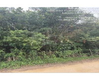 Sítio com 18.000m² em Aracaju/SE