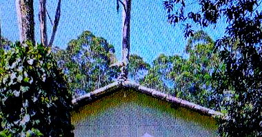 Sítio com casa, rancho e curral em Juiz de Fora - MG