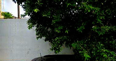 Terreno com prédio comercial 117m², 1.152m² total, ocupado