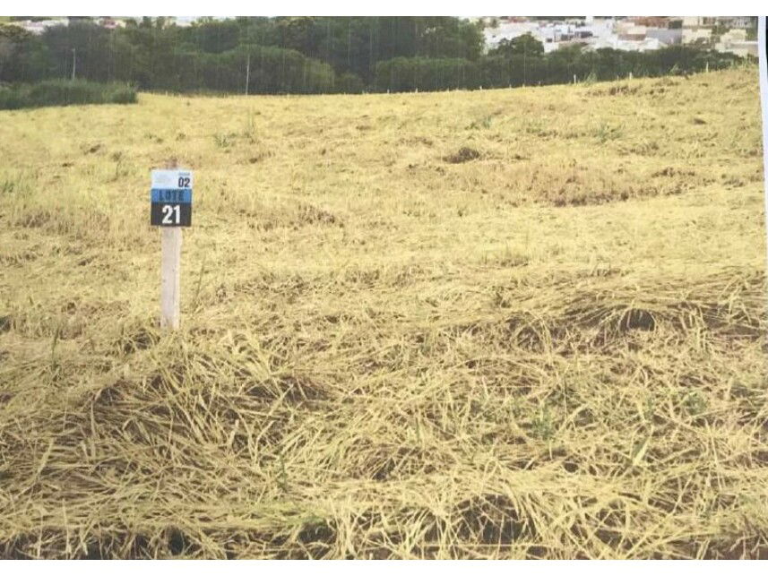 Terreno desocupado em Royal Residence com 239,75m²