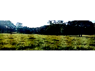 Fazenda com 181,40 hectares, área agrícola em expansão