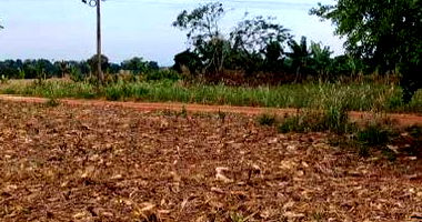 Imóvel Rural em Cabixi - 8.2305 ha com Casa Sede