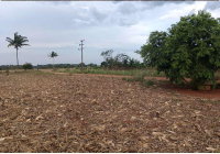 Imóvel Rural em Cabixi - 8.2305 ha com Casa Sede