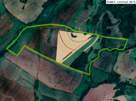 Fazenda com 128,95 hectares, terras sem benfeitorias, desocupada