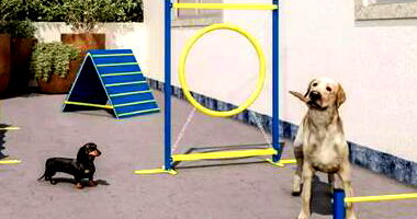 Apartamento 2 Quartos com Vaga de Garagem em Brasília