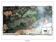 Gleba Rural com 893 Hectares em Piraí do Sul