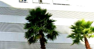 Apartamento com 1 quarto e 1 banheiro em Bento Gonçalves