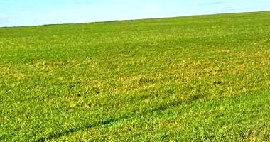 Área Rural de 43.100 m² em Santa Helena - PR