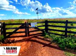 Fazenda Santa Amalia com 152 hectares, uso rural, desocupada
