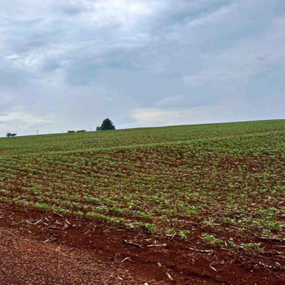 Fazenda com 25,7 ha e benfeitorias em Toledo