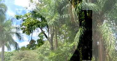 Terreno Amplo em Campinas com Construções e Galpões