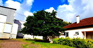 Complexo Industrial Frigorífico com Terreno de 25.260m²