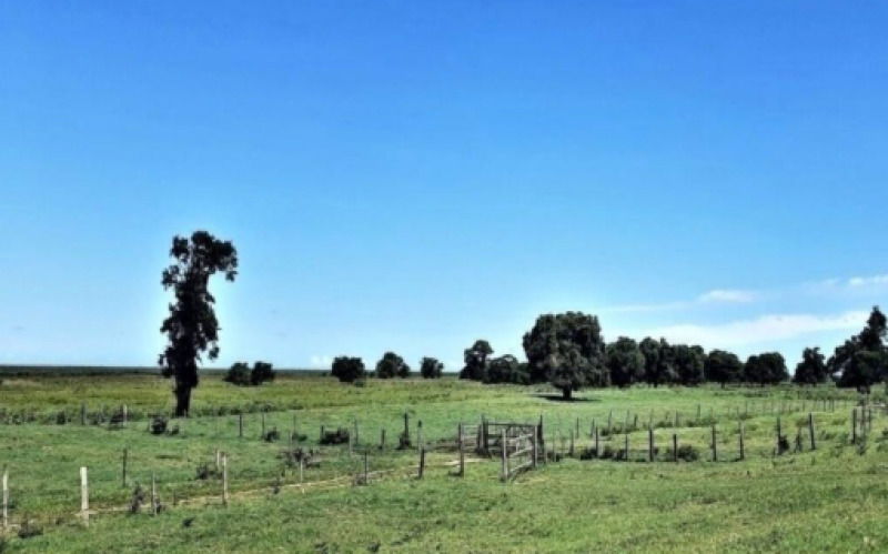 Fração de 1/14 de Imóvel Rural com 203,60 Hectares em Rio das Flores/RJ