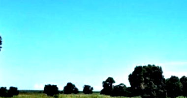 Fração de 1/14 de Imóvel Rural com 203,60 Hectares em Rio das Flores/RJ