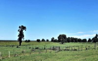 Fração de 1/14 de Imóvel Rural com 203,60 Hectares em Rio das Flores/RJ