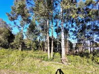 Terreno Urbano de 440m² em Arvorezinha/RS