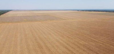 Fazenda Elo Verde 2200 hectares com 1073 ha abertos para lavoura