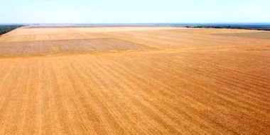 Fazenda Elo Verde 2200 hectares com 1073 ha abertos para lavoura