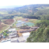 Imóvel Rural com Benfeitorias e Casa, Área 4,89 ha