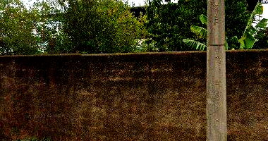 Galpão e Escritório em Jaboticabal/SP - Oportunidade Única!