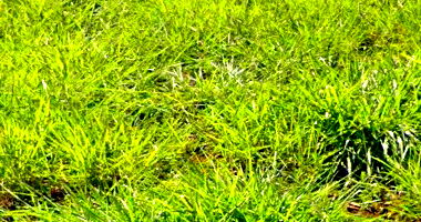 Terreno com 250m² no Golden Park II em Londrina/PR