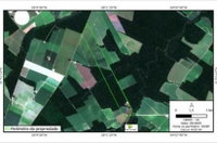 Fazenda com 904 hectares, ocupada, ideal para investimento rural