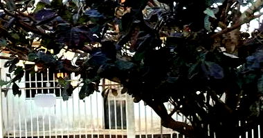 Lote em Campo Mourão/PR com Avaliação de R$ 220.000,00