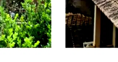 Casa com 3 pavimentos e 446m² de área construída