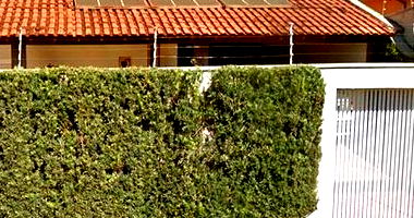 Casa com 2 dorm, área de lazer, churrasqueira e piscina