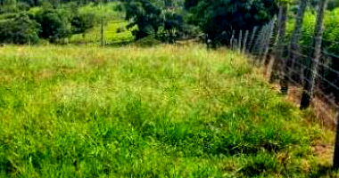 Terreno Rural com 50.000m² em Criciúma/SC