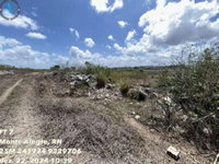 Lote de 6.0 ha em Monte Alegre, RN