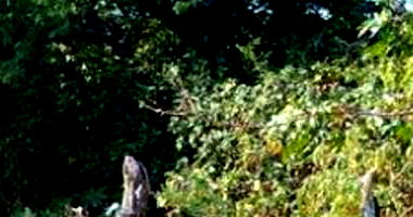 Terreno amplo desocupado com 41.000 m² em Mel de Baixo